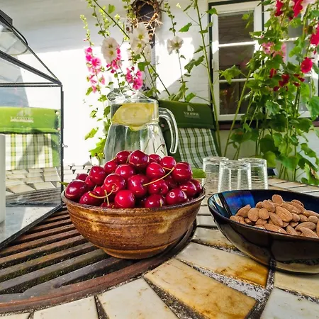 Helene - 2-4km From The Sea By Interhome *